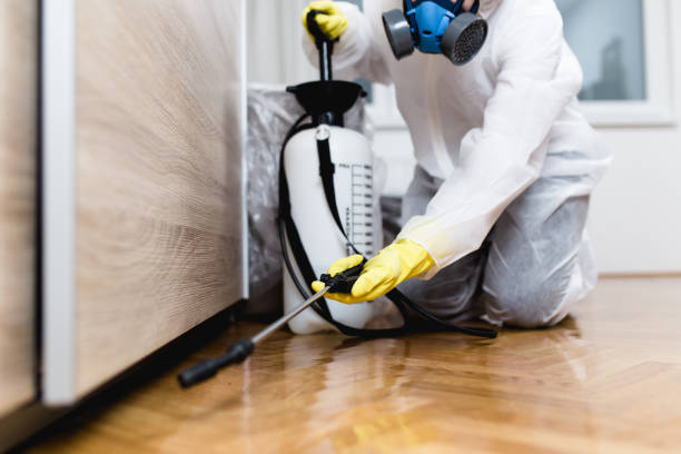 Best Exterminator Services  in Crosspointe, VA