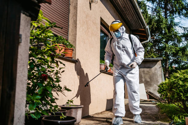 Pest Prevention Services in Crosspointe, VA