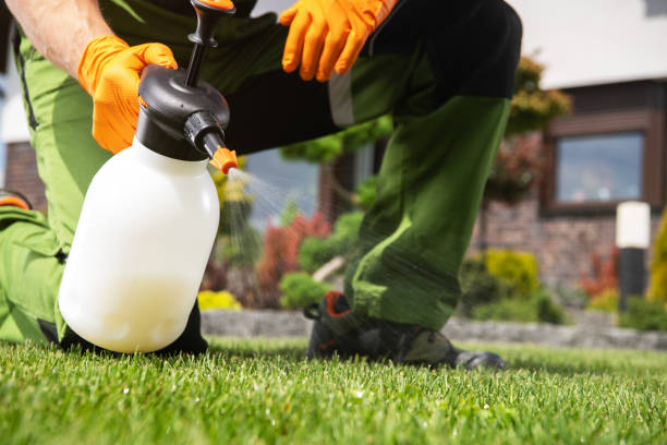 Best Wasp Removal Services  in Crosspointe, VA