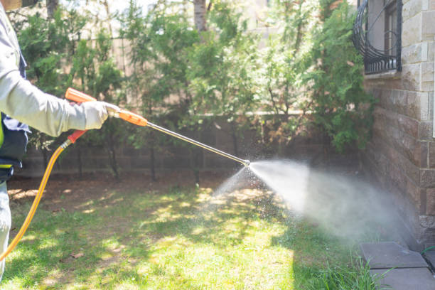 Wasp Removal Services in Crosspointe, VA